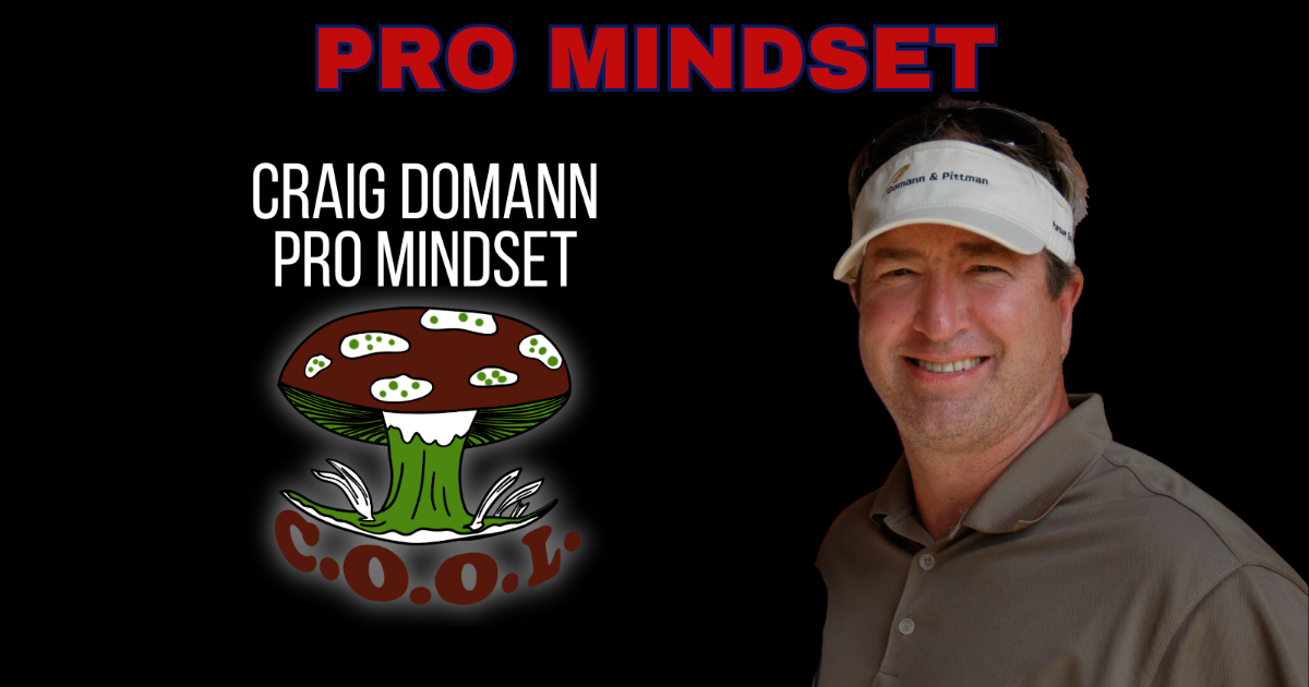 Pro Mindset - Craig Domann