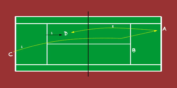 defending against the net player