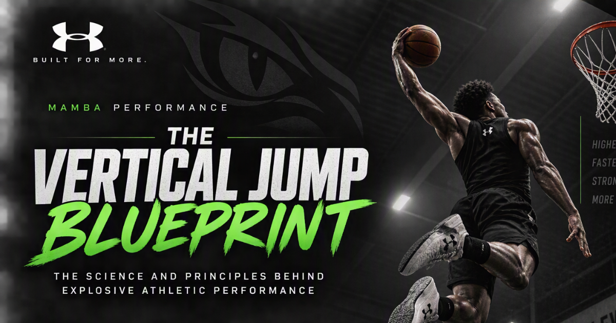 The Vertical Jump Blueprint