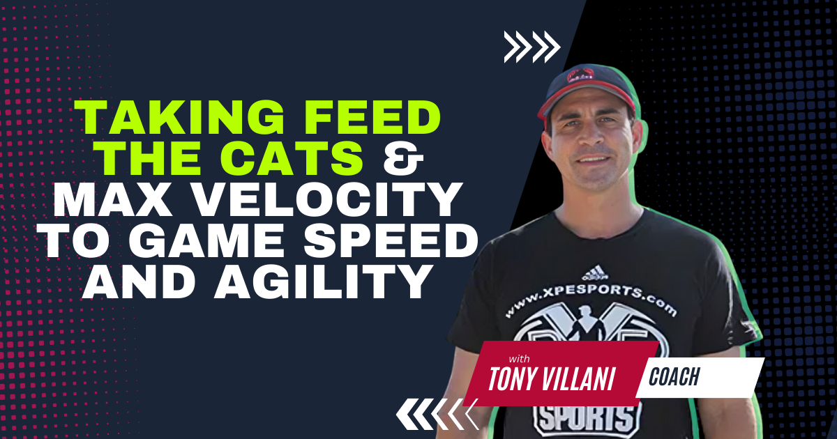 Feed the Cats and Max Velocity to Game Speed and Agility with Tony Villani
