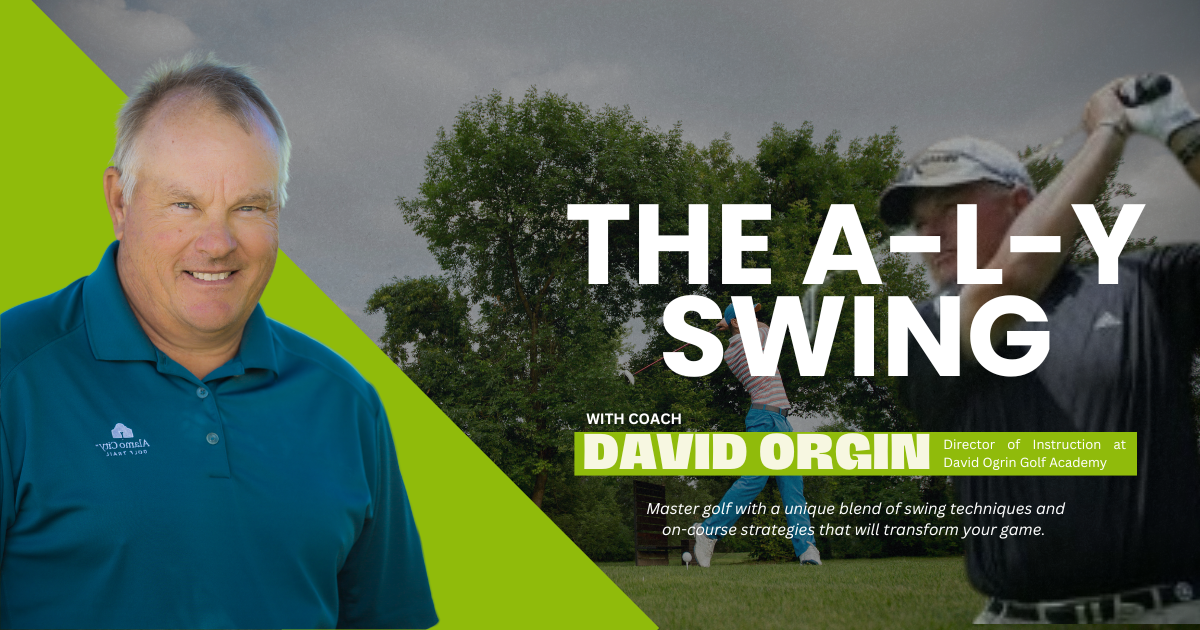 The A-L-Y Swing with David Orgin